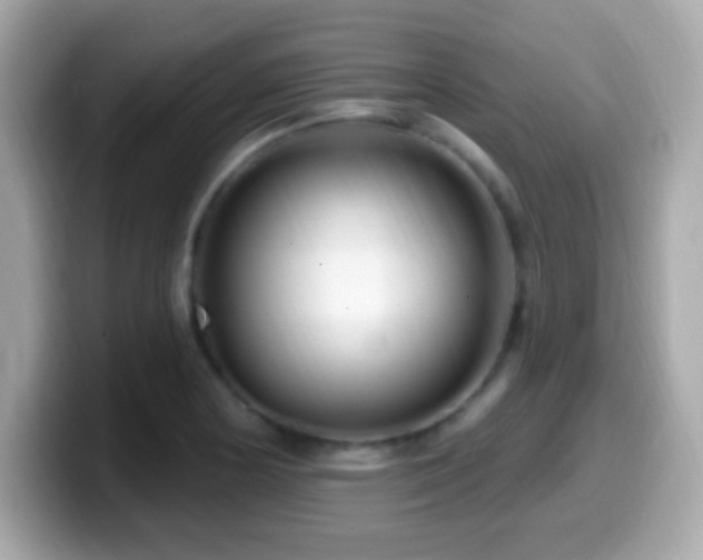 X0000099961178200805231335
