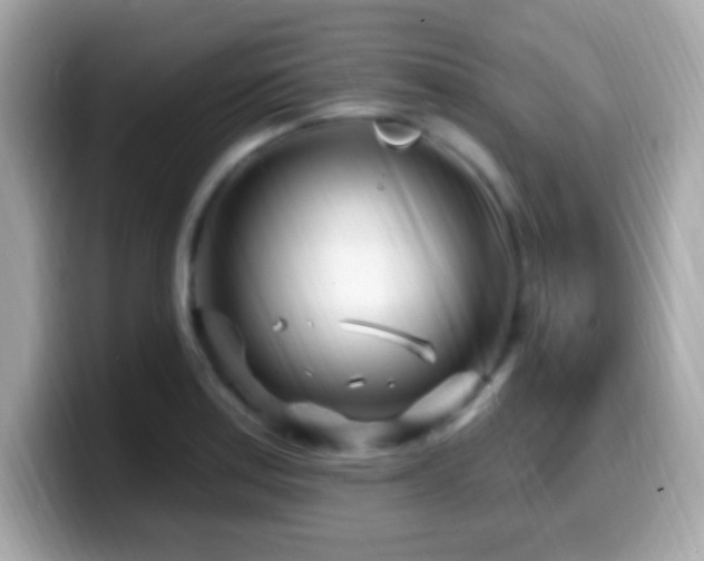 X0000099961179200805231335