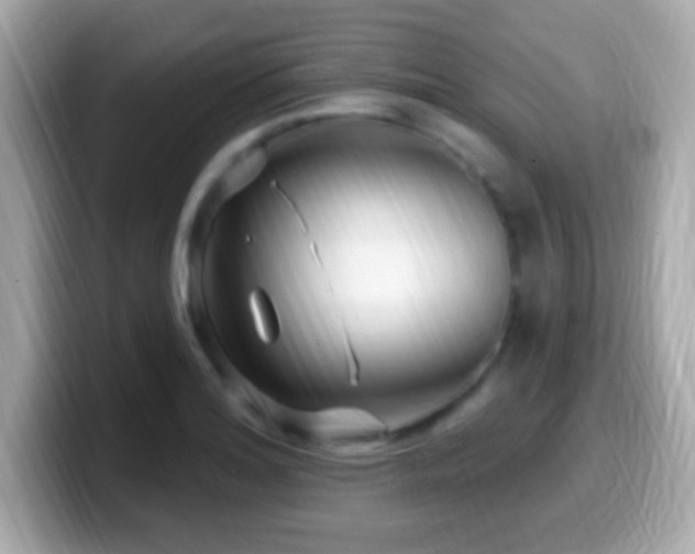 X0000099961180200805231335