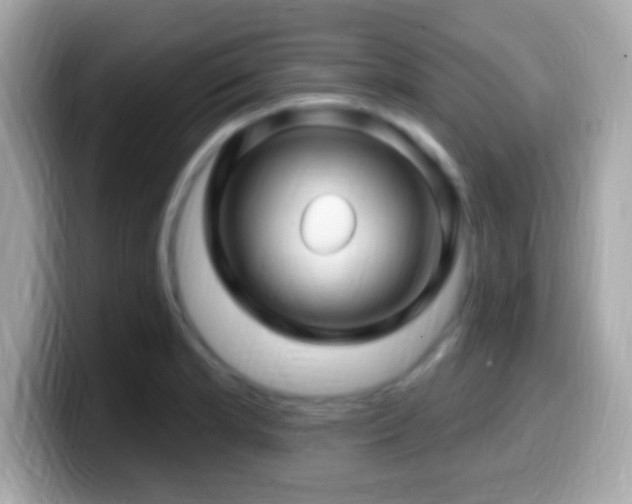 X0000099961181200805231335