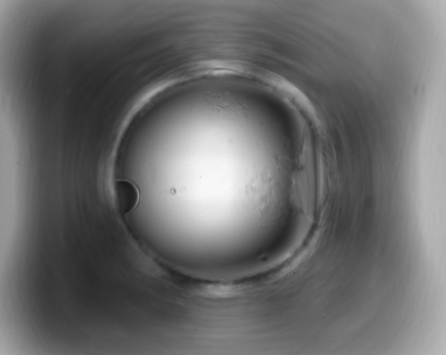 X0000099961182200805231335