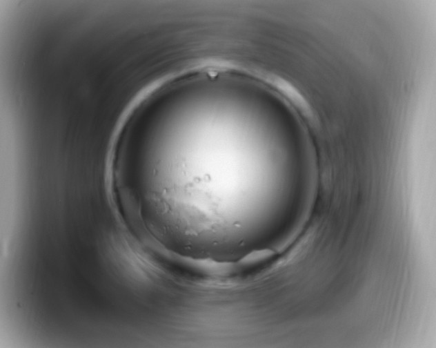 X0000099961183200805231335