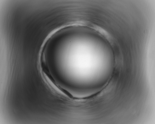 X0000099961184200805231335