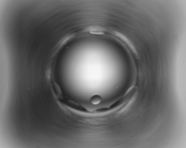X0000099961185200805231335