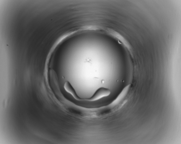 X0000099961187200805231335