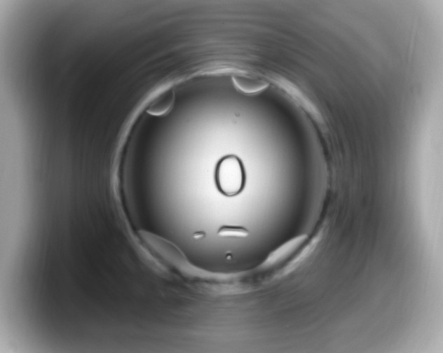 X0000099961189200805231335