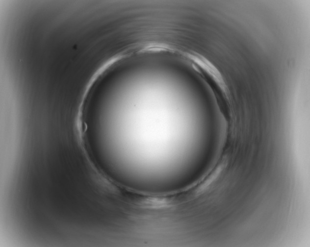 X0000099961190200805231335