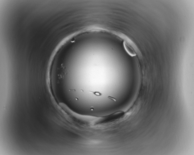 X0000099961191200805231335
