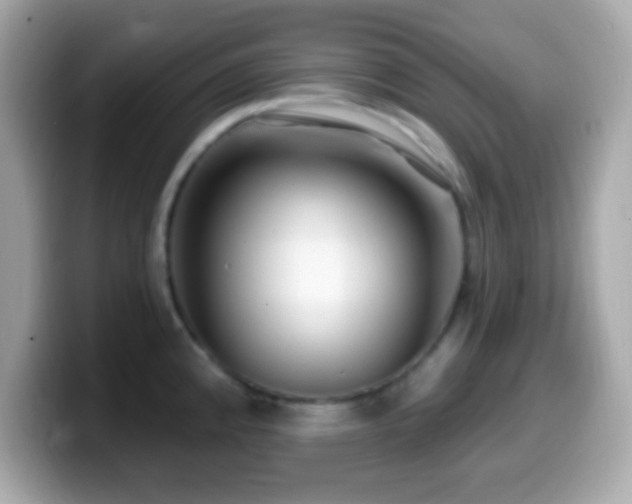 X0000099961192200805231335