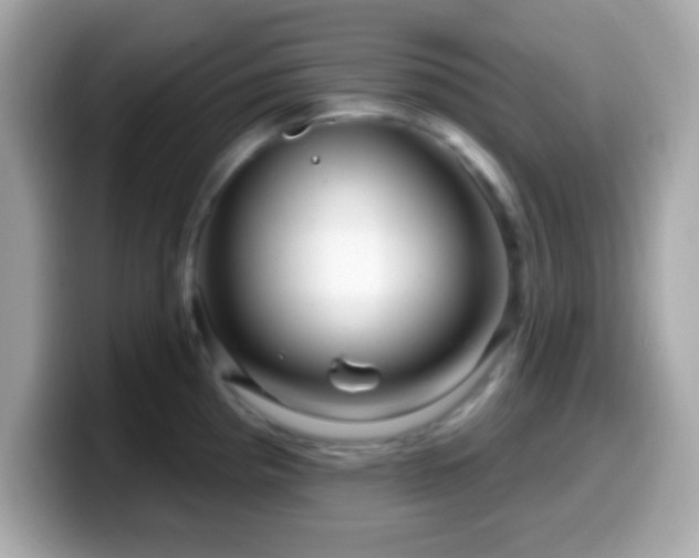X0000099961193200805231335