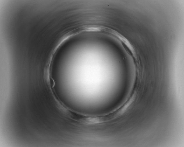 X0000099961194200805231335