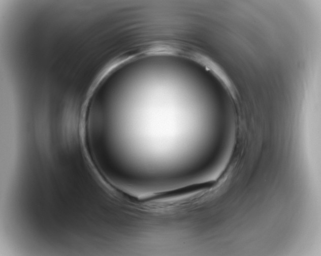 X0000099961195200805231335