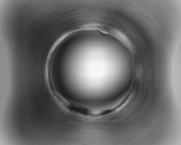 X0000099961196200805231335