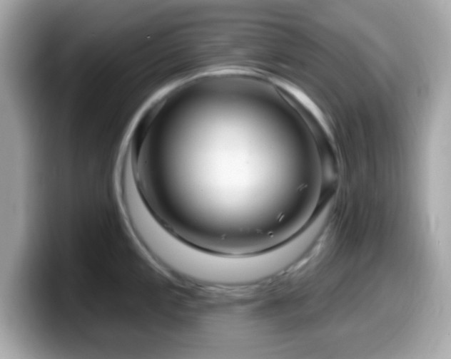 X0000099961197200805231335