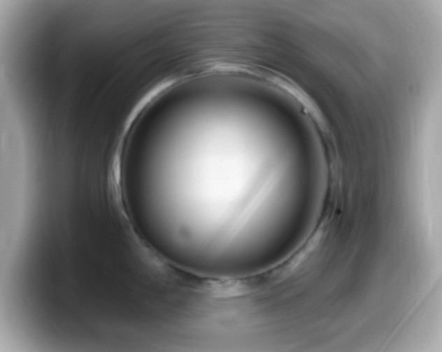 X0000099961198200805231335