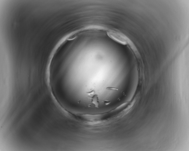X0000099961199200805231335