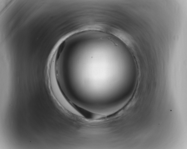 X0000099961200200805231335