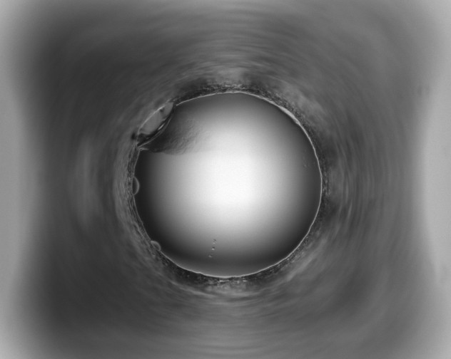 X0000099961201200805231334