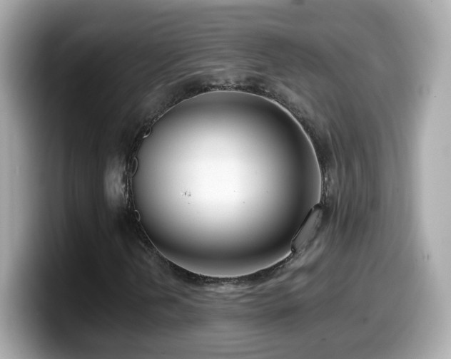 X0000099961202200805231334