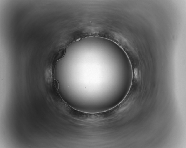 X0000099961203200805231334