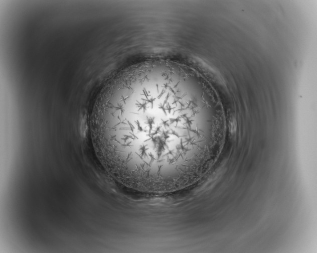 X0000099961204200805231334