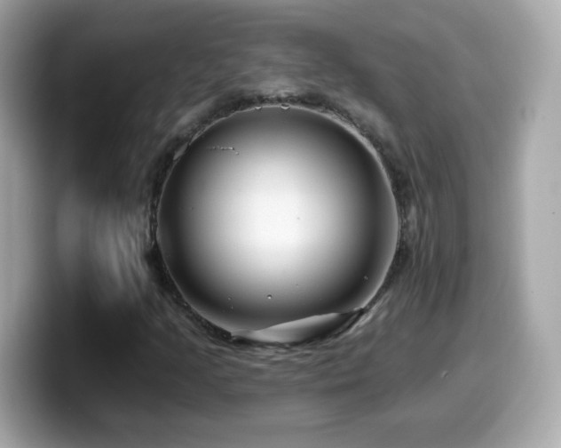X0000099961205200805231334