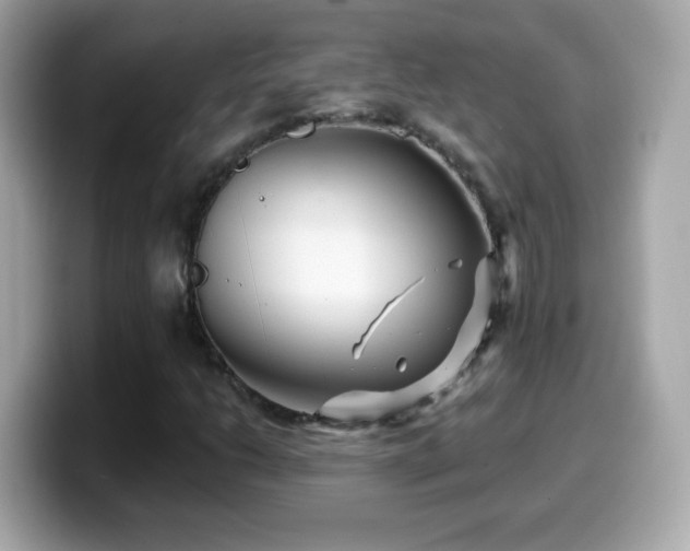 X0000099961206200805231334