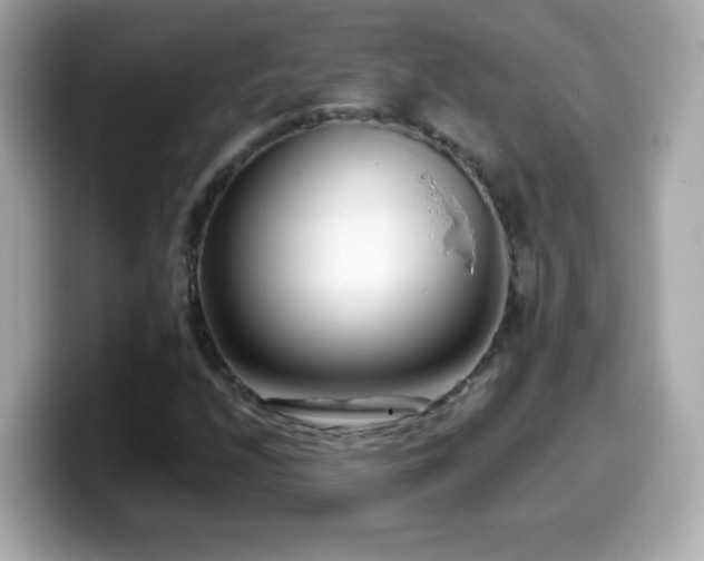 X0000099961208200805231334