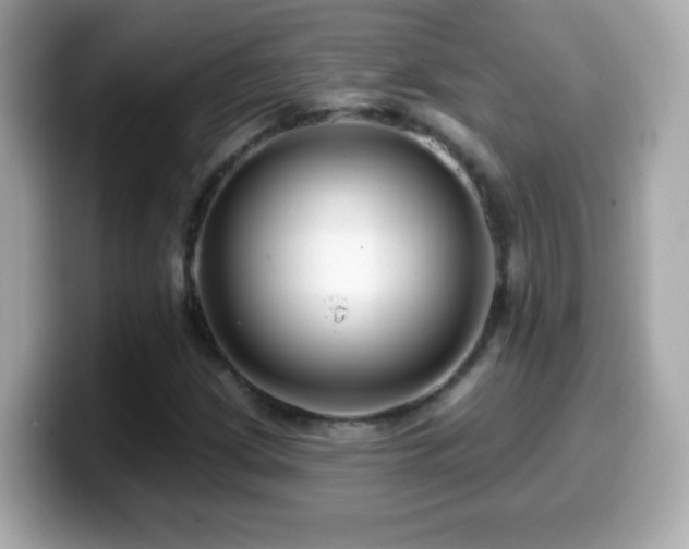 X0000099961209200805231334