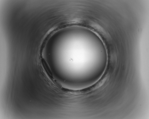 X0000099961210200805231334