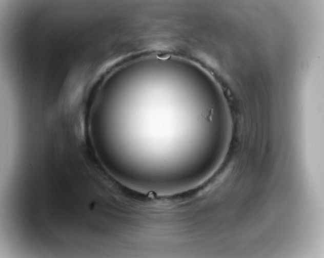 X0000099961214200805231335