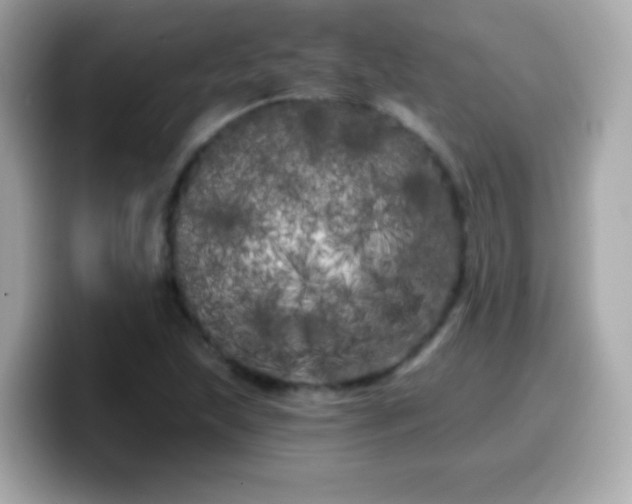 X0000099961215200805231335