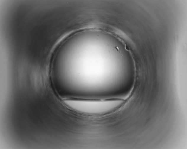 X0000099961216200805231335