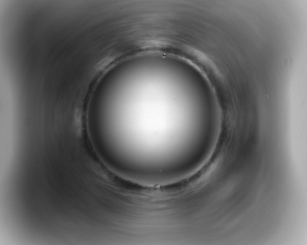 X0000099961217200805231335