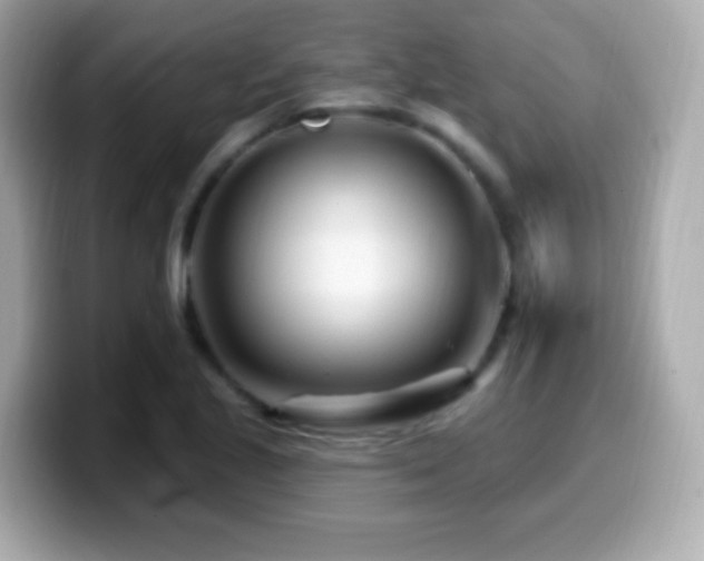 X0000099961221200805231335