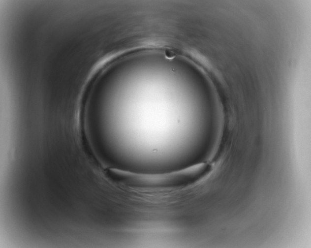 X0000099961222200805231335