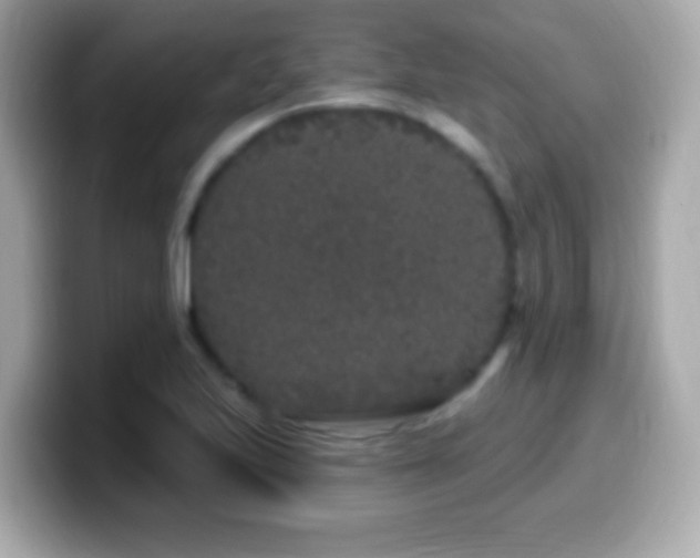 X0000099961223200805231335