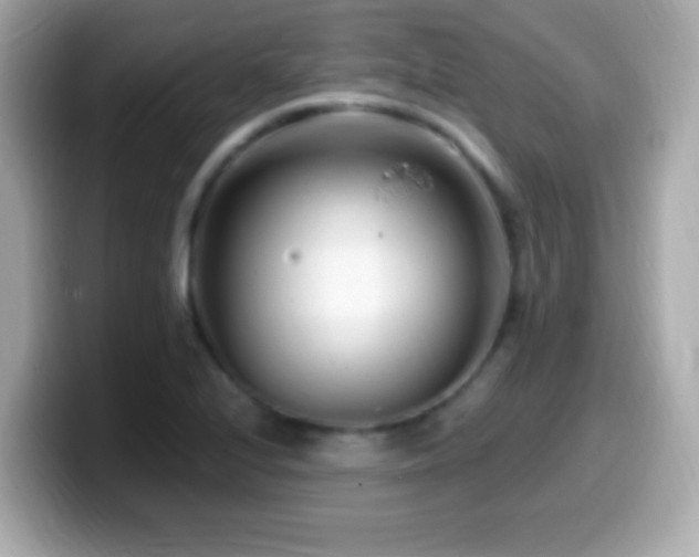 X0000099961224200805231335