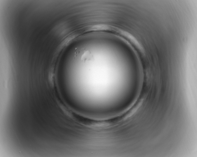 X0000099961225200805231335