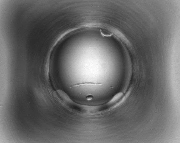 X0000099961228200805231335