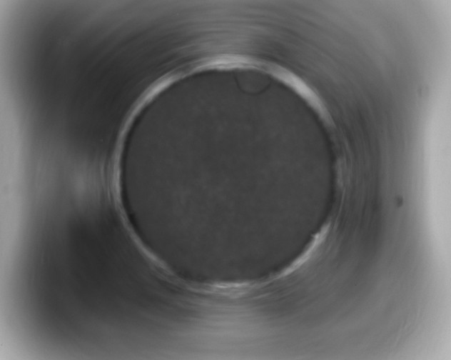 X0000099961229200805231335