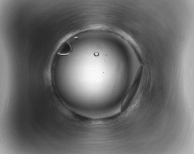 X0000099961230200805231335