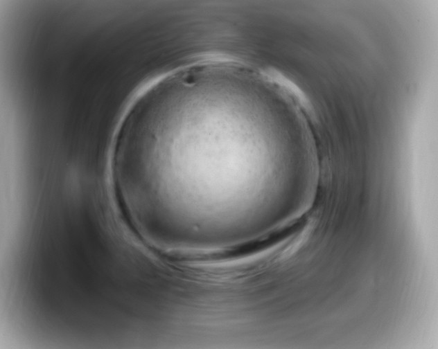 X0000099961231200805231335