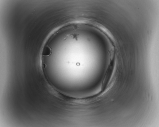 X0000099961232200805231335