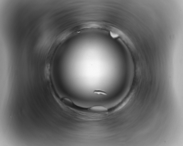 X0000099961233200805231335