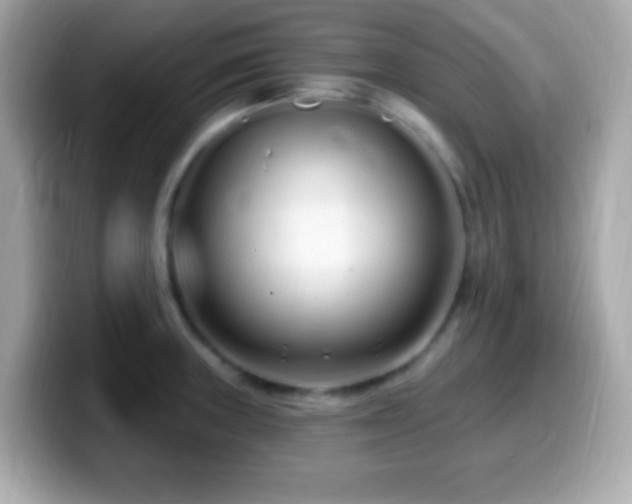 X0000099961235200805231335