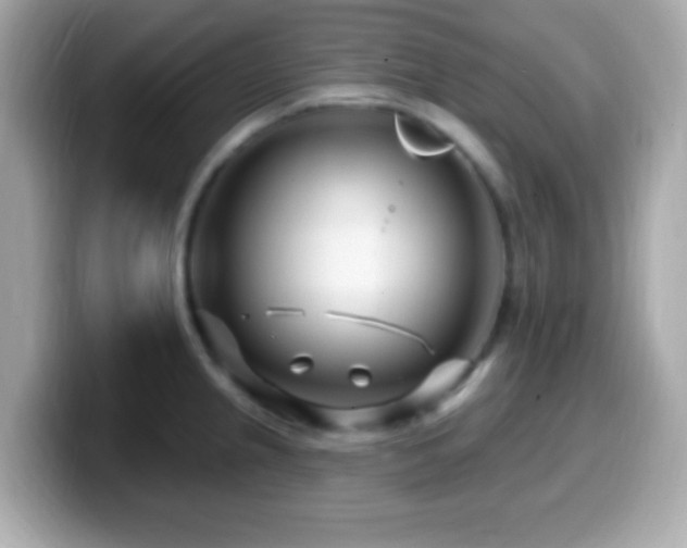 X0000099961237200805231335