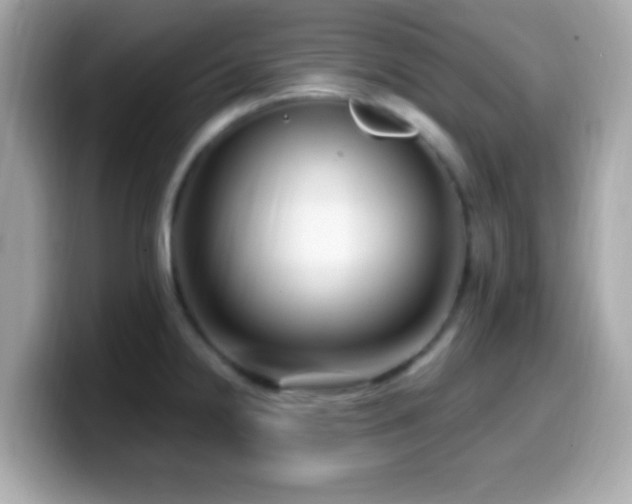 X0000099961238200805231335