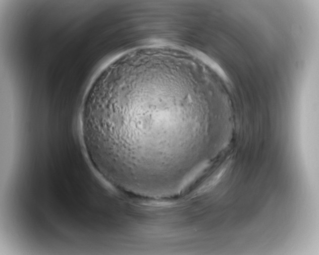X0000099961239200805231335