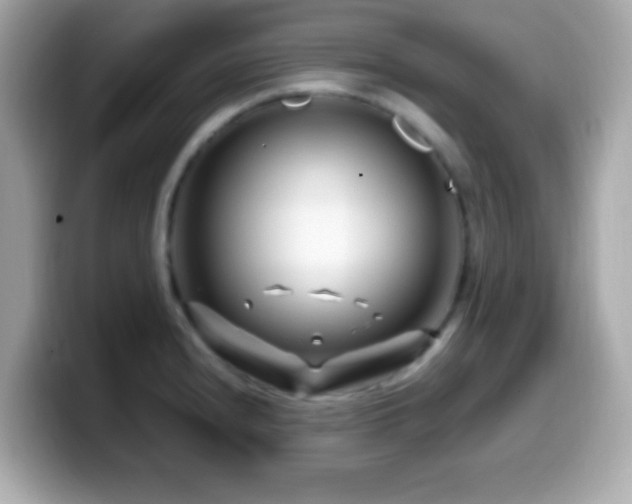X0000099961240200805231335
